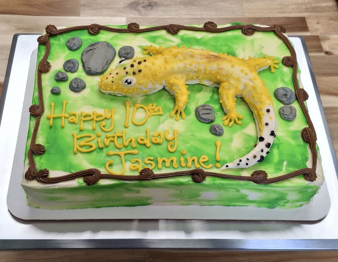 Vanilla Sheet Cake with 3D Gecko